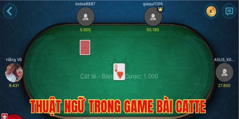 Thuật Ngữ Trong Game Bài Catte Tại MM99